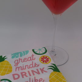 Great Minds Drink Alike Cocktail Napkins